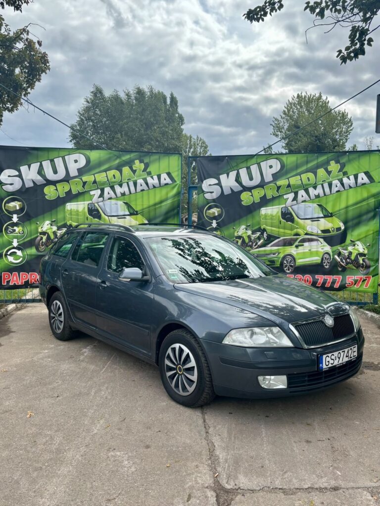 Skoda Octavia II 1.9 TDI 105 KM 2008 – zdjęcie 1